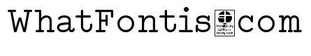 Typo Writer Demo