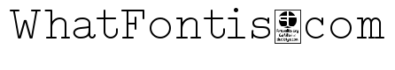 Typo Writer Light Demo