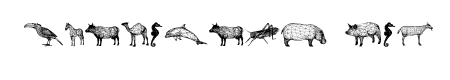 3D Animals Regular