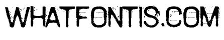 TamettePunkdomed