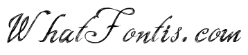 Script Writing