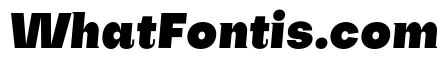 SubjectivitySerif-BlackSlant