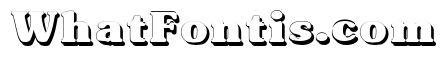 Typographer Subway Shadow