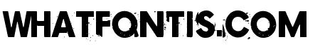 Copy 239