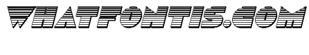 Disco Duck Chrome Italic