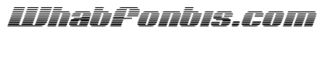 Nolo Contendre Gradient Italic