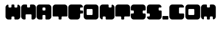 Leben Regular
