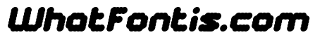 The Brain Italic