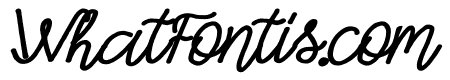Simple Swirl Bold Italic
