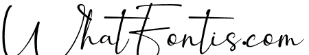 winstyle Signature