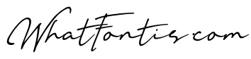 Leslies Italic
