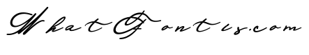 Michelle Fellicia Bold Italic Bold Italic