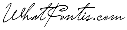 Saturday Night Italic