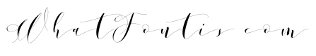 DonitaHandscriptDemo