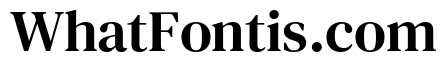 DM Serif Text Regular