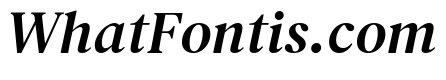 DM Serif Text Italic