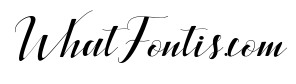BallqisScript