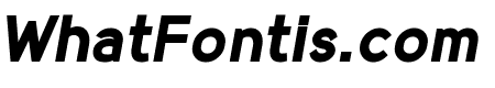 MadeynSans Bold Italic