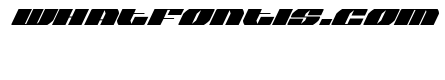 Joy Shark Super-Italic