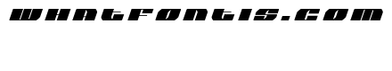 Joy Shark Title Italic
