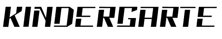 Neolion Italic