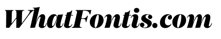 Monday Bold Italic