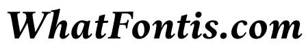 ARIA TEXT G3 BOLD ITALIC