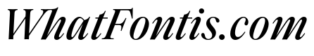 Saol Text Medium Italic