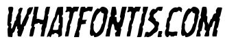 Worm Cuisine Condensed Italic