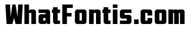 Motion Control Neue Lite Bold