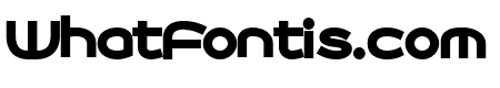 Roona Sans Black PERSONAL