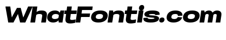 Specify PERSONAL Expanded Black Italic