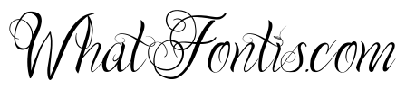 One Chance Script Regular