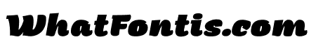 Arturo Trial Heavy Italic