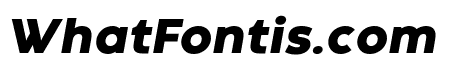 Codec Warm Trial Heavy Italic