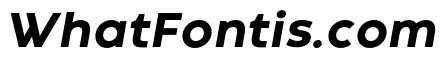Codec Warm Trial ExtraBold Italic