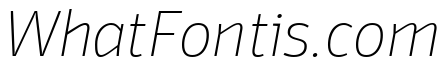 Domotika Trial Thin Italic