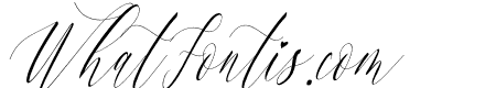 Charlotte Calligraphy Slant