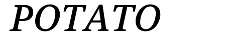 Avrile Serif Medium Italic