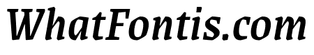 Grenze Medium Italic