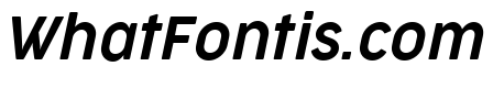 Cocogoose Narrow Trial Semilight Italic