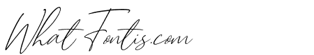 Cartines Signatures Italic Italic