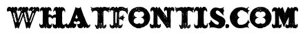 BONESOUP