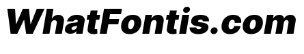 Inter Black Italic