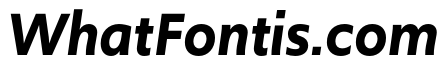Upgrade Book Italic