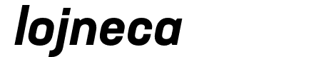 Neusa Next Std Compact Bold Italic