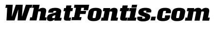 Roster Narrow Bold Italic