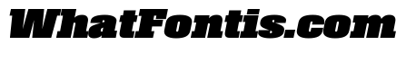 Roster Compressed Black Italic