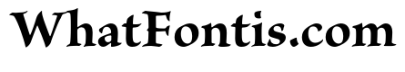 Brioso Pro Bold Subhead