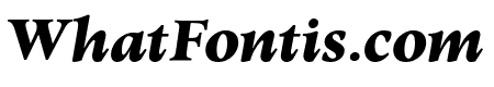 Elmhurst BlackItalic